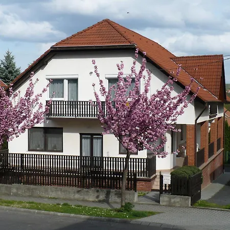 Lekics Haz Homestay *